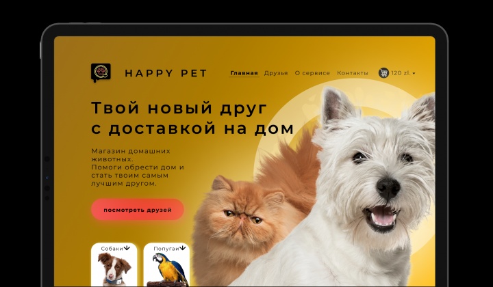 Web Дизайн первой страницы