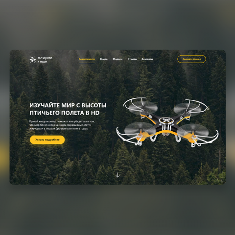 Дизайн для сайта «Mosquito Extreme»