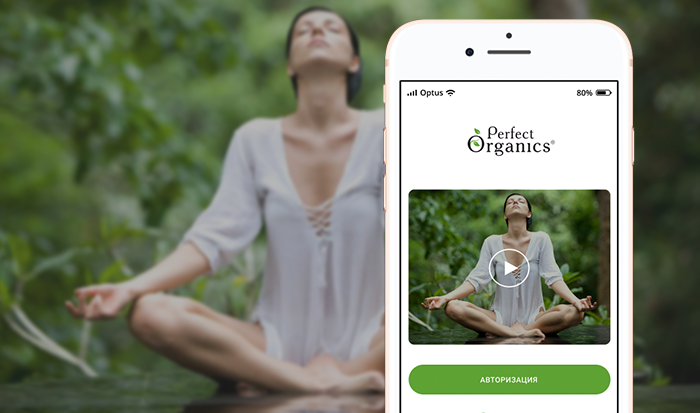 Разработка мобильного приложения для компании «Perfect Organics»