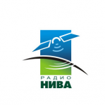 Радио Нива