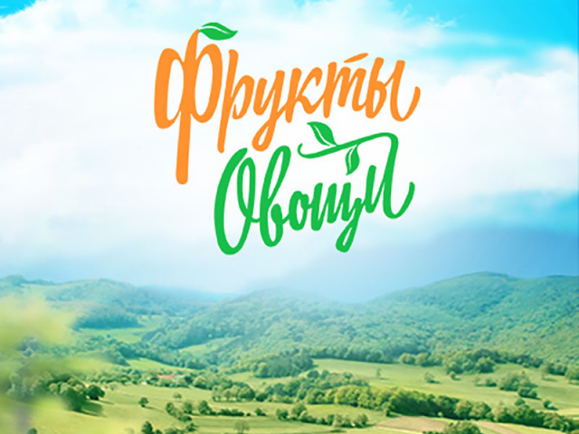 Разработка дизайна фирменной стилистики для компании экспортера