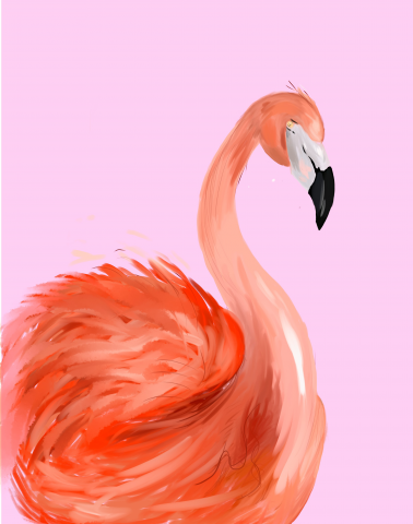 Фламинго (иллюстрация)