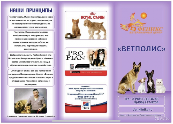 Буклет
