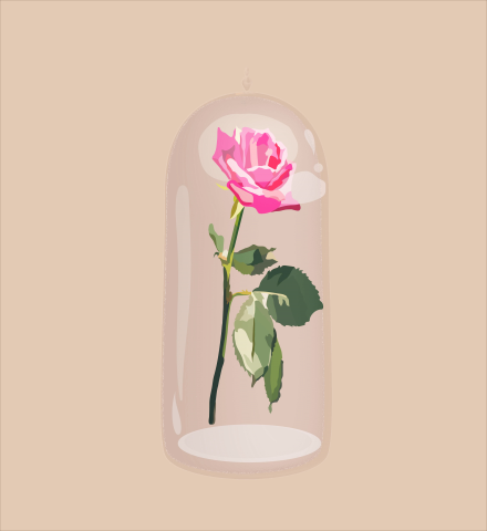 flowers - here