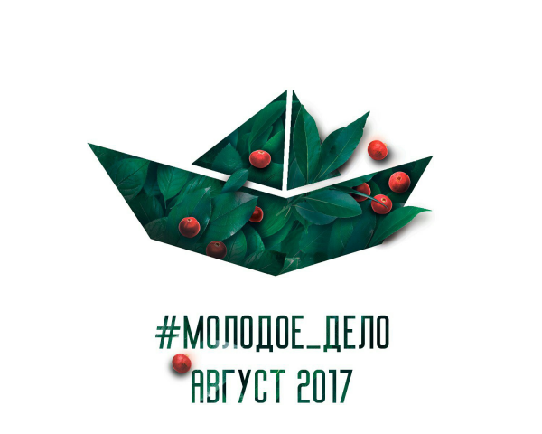 Работа 3679333