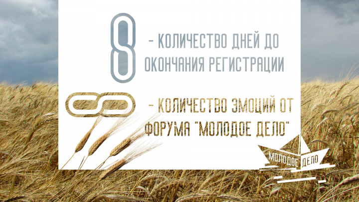 Работа 3679332