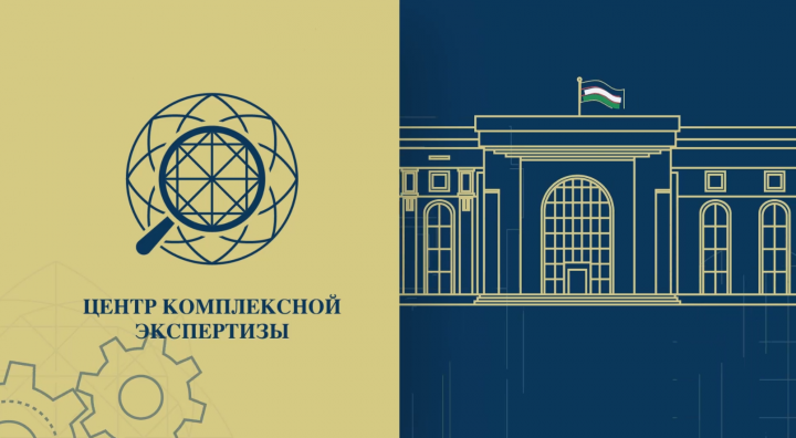 Моушн ролик "Центр комплексной экспертизы проектов"