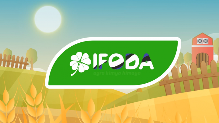 Ifoda моушн ролик