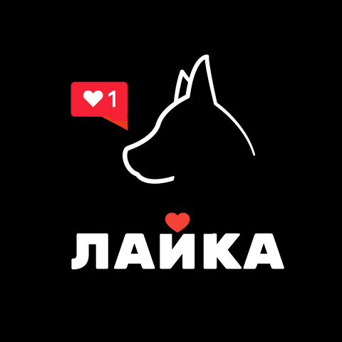 Работа 4160265