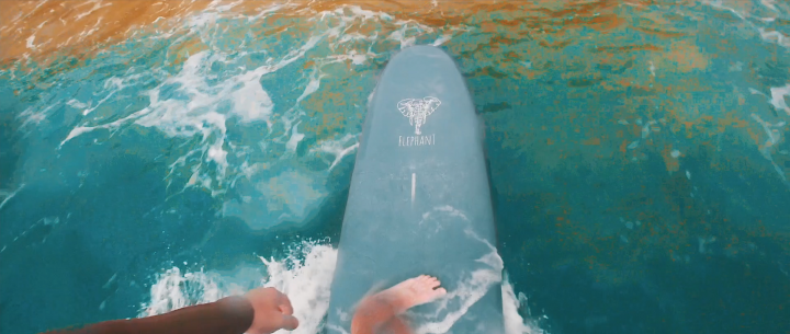 Surfing in Sri-Lanka