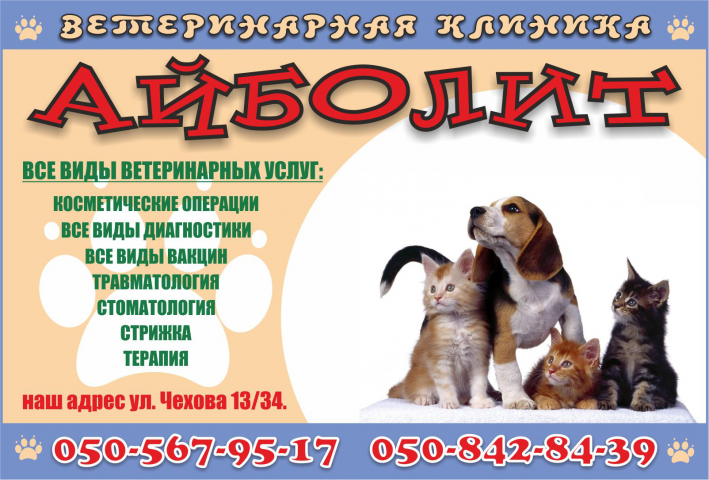 Айболит
