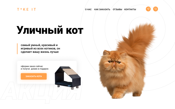 Сайт для приюта