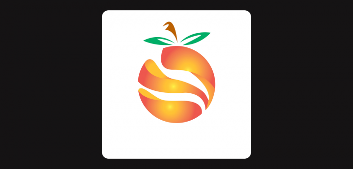 Orange Logo