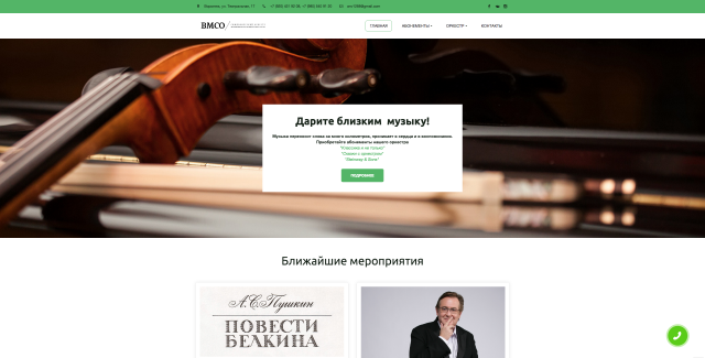 Воронежский молодежный симфонический оркестр