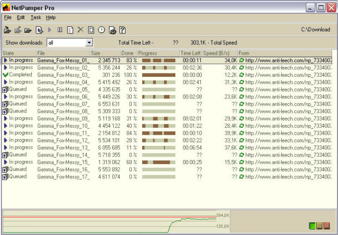 Менеджер загрузки файлов «NetPumper»