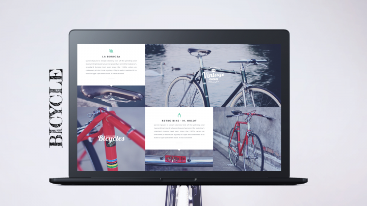 Bicycle