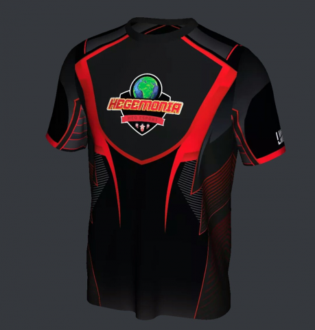 Esport Logo для игровой ассоциации Франции