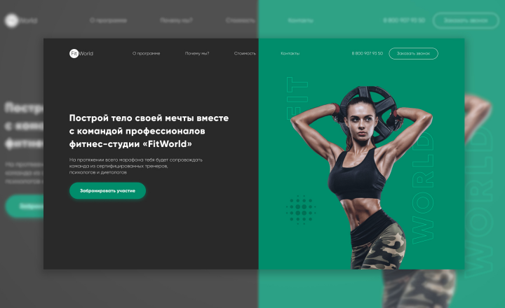 Fit World