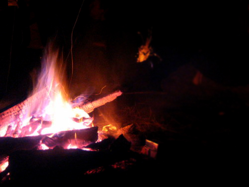 pic463384.jpg