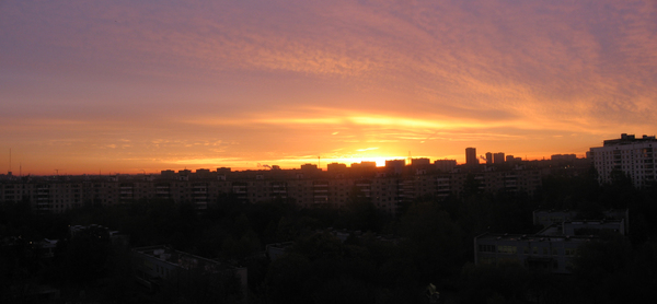 pic463381.jpg