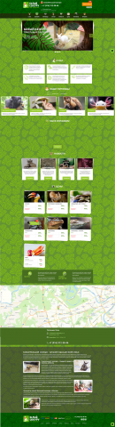 Разработка сайта "Белый кенгуру"