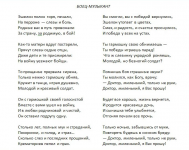 Боец-музыкант