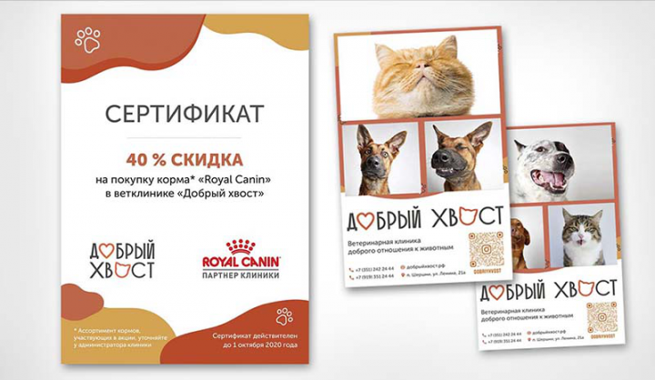 Полиграфия для ветклиники