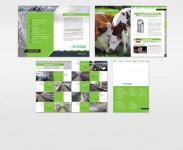 Буклет (72 полосы)