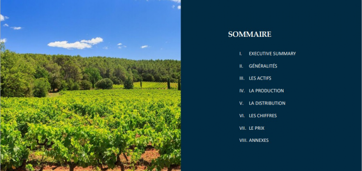 Перевод предложения о продаже виноградника во Фран