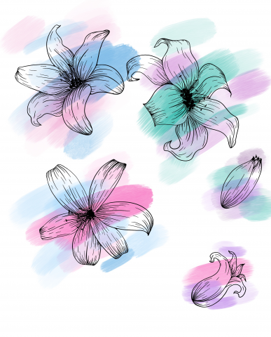 Lily