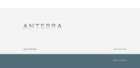 ANTERRA, управляющая компания