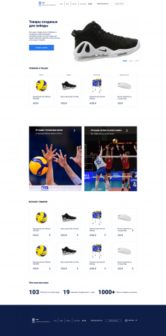 Дизайн интернет магазина волейбольных товаров