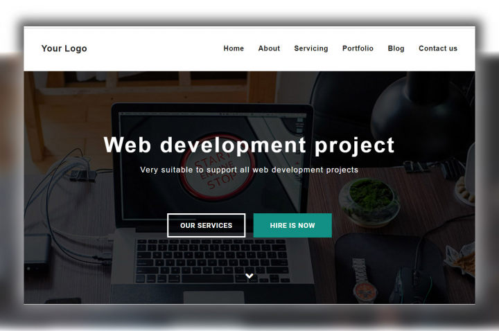 Web development project