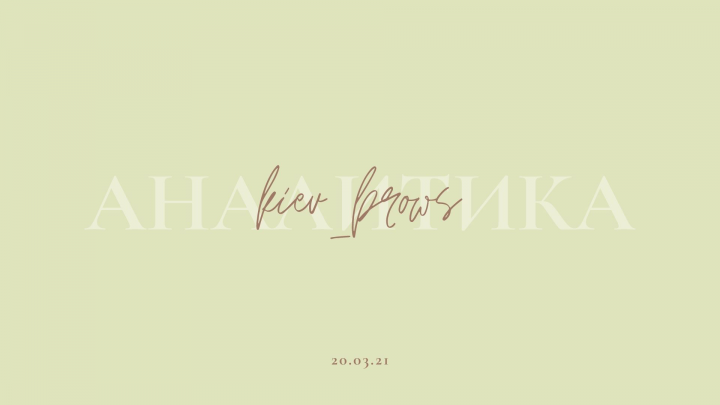 Аналитика для инстаграм аккаунта бровиста