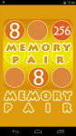Memory Pair