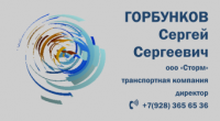 Визитка директора ООО "Сторм"