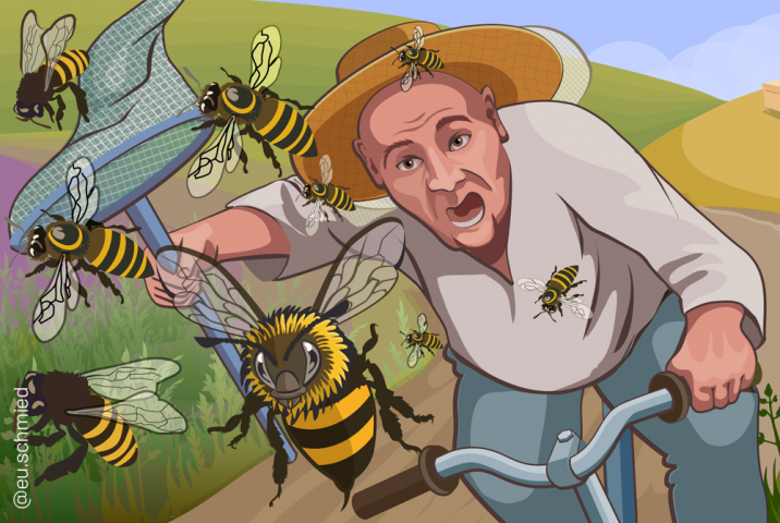 Chasing bees (character)
