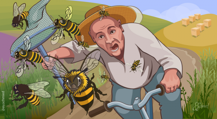 Chasing bees