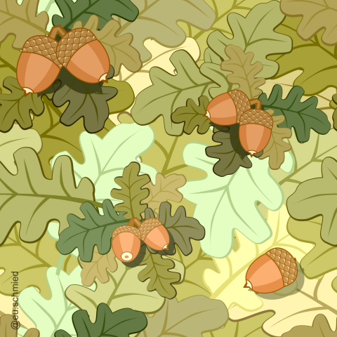 Pattern