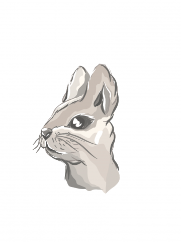 The baby rabbit