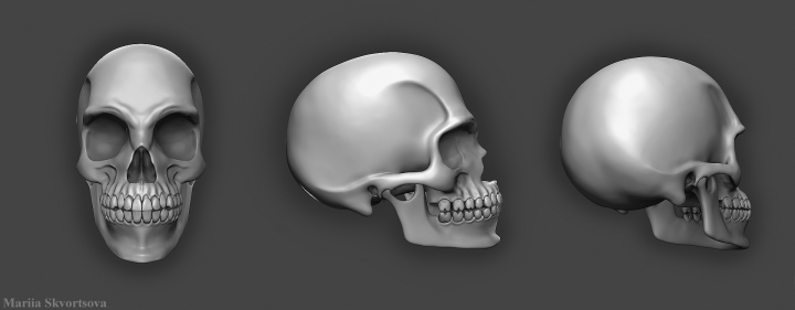 Skull. ZBrush shots