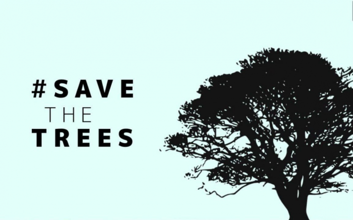Save the Tree