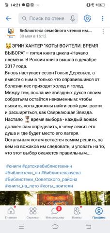 обзор Коты-Воители