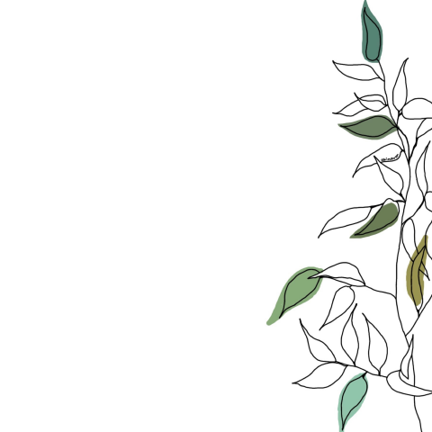 Стикеры для сториз Instagram