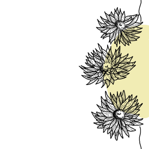 Стикеры для сториз Instagram