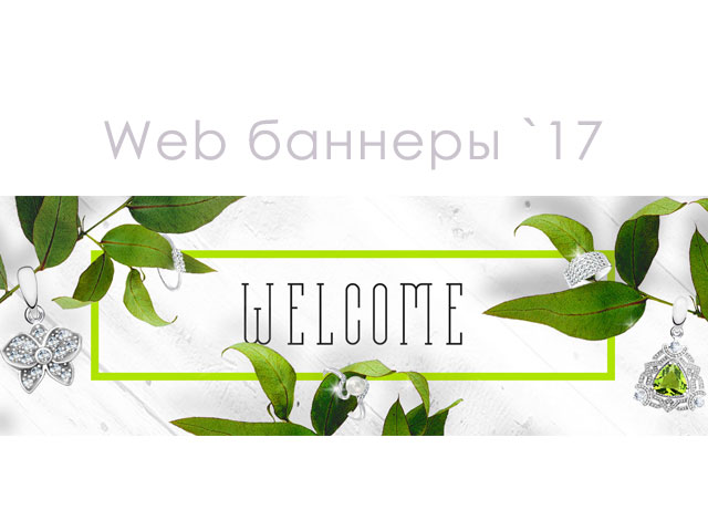 Сборник веб баннеров за 2017 год