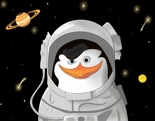 Шкипер в космосе