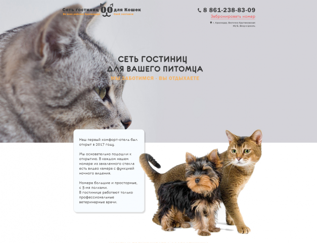 Гостиница для кошек в Краснодаре