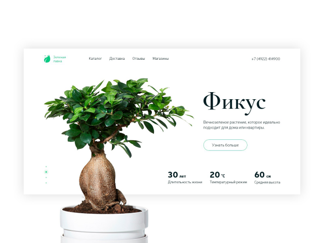Ficus — макет баннера