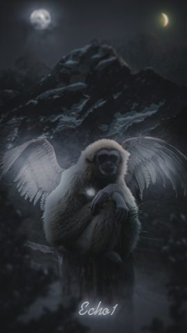monke